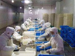 青島安裝一個水產海鮮冷凍庫需要多少錢？