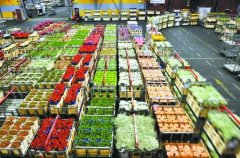 800平米鮮花保鮮冷庫安裝費用是多少？