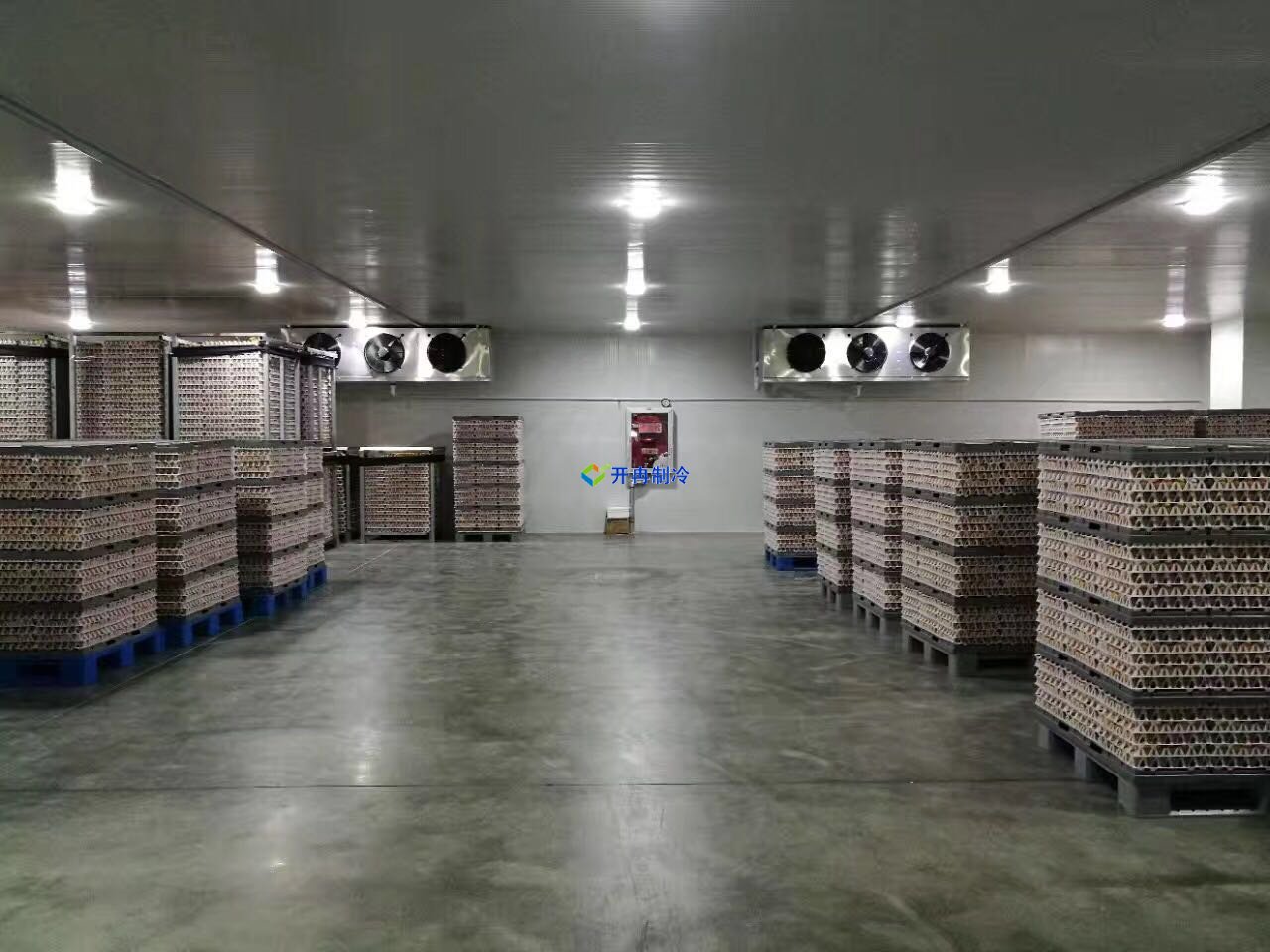 葡萄保鮮庫建造及設計造價，葡萄冷庫儲存方法