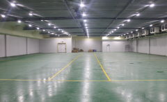 300噸的枇杷冷藏庫建造需要多少錢？枇杷冷庫造價