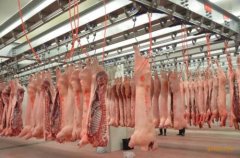 上海安裝600平米肉類冷凍庫價格是多少，600平米冷庫的耗電量怎樣