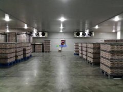 安裝1300噸水果冷藏庫預算是多少？后期用電能耗大嗎？