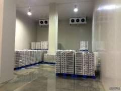 1000噸低溫冷庫安裝流程、設(shè)備、造價